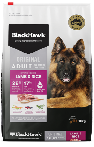 Black Hawk Adult, Lamb & Rice